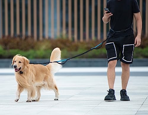 iYoShop Hands Free Dog Leash with Zipper Pouch, Dual Padded Handles and Durable Bungee for Walking, Jogging and Running Yo...