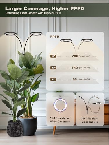 GLOWRIUM 48W LED Dual-Head Grow Light for Indoor Plants, 23.5-71" Adjustable Height, 3-Growing Full Spectrum for Tall Plan...