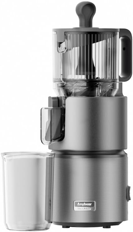 Anybear Cold Press Juicer with 4.9" Large Feed Chute, 350W Masticating Juicer Machines with Dual Slow-Squeezing Technology for Whole Fruits & Veggies with High Yield | BPA-Free Tritan (Silver Gray)