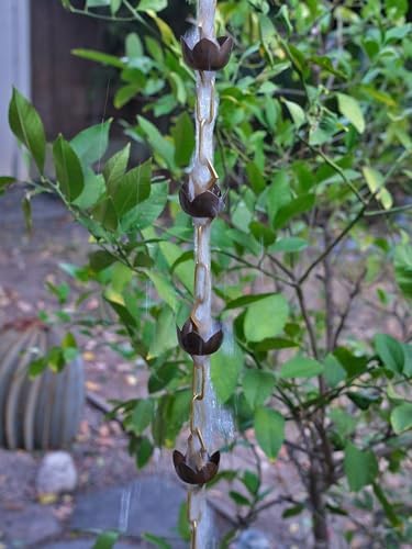Nutshell Stores Lotus Rain Chain - 8 Feet