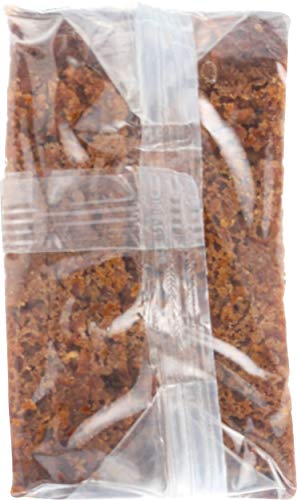 MESTEMACHER BREAD RTE FITNESS 17.6OZ