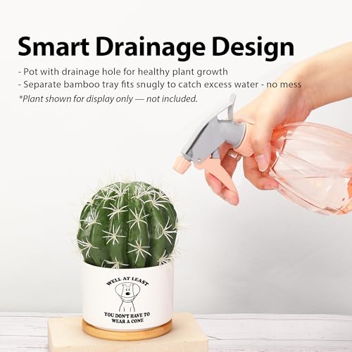 Loovelo Well at Least You Don’t Have to Wear A Cone Recovery Gifts Ceramic Succulent Plant Pot with Bamboo Tray Round Get ...