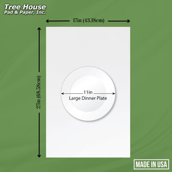 Tree House Packing Paper for Moving – 720 Newsprint Packing Paper Sheets – 27” x 17” Paper for Packing Dishes, Shipping, and Moving Supplies – Recyclable Movers’ Paper – Made in USA