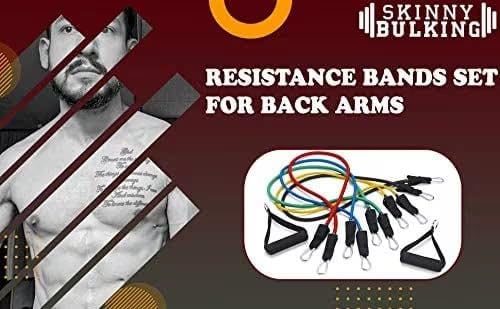 11-Piece Resistance Bands Set for Home Workout Equipment, Instructions Included, Green (30 Lbs) Black (40 Lbs), Red (50 Lb...