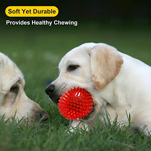 VITEVER 3.5” Squeaky Dog Toy Balls (6 Colors) Puppy Chew Toys for Teething, BPA Free Non-Toxic, Spikey Dog Balls for Mediu...