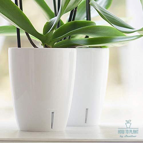 Santino 4.9 Inch ORCHIDEA Self Watering Pots for Orchids in White (Set of 3) - Decorative Wicking Planter with w/Great Aerification, Drainage and Water Level Indicator