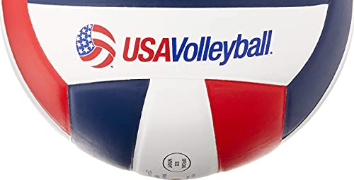 Molten Pro Touch Volleyball