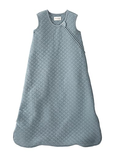 little planet by carter's Baby Organic Cotton Wearable Blanket