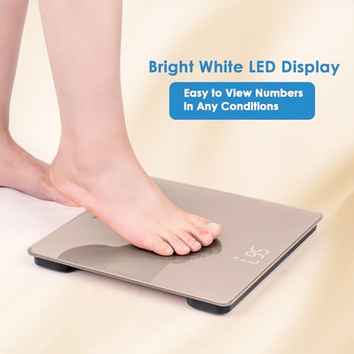 Homebuds Smart Scale for Body Weight, Precision 0.1lb by Our Professional Factory Since 2001, Digital Weight Scale Step-On...
