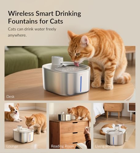 APD APETDOLA Wireless Cat Water Fountain Stainless Steel,135floz/4L Battery Operated Automatic Pet Fountain,Cordless Cat W...