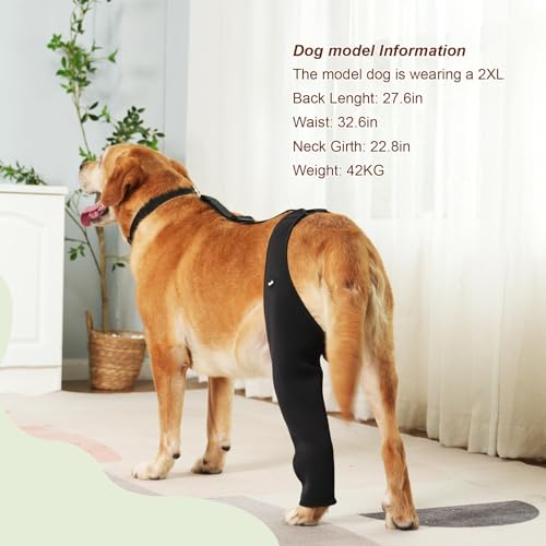 Dog Recovery Sleeve Back Leg Breathable Material,Dog Leg Sleeve to Stop Licking and Biting Firm and Secure, Adjustable Siz...