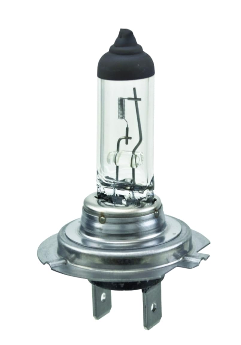 Hella H7 Halogen Bulb - 12V 55W, Glass, Multi, 1 Count (Pack Of 1)