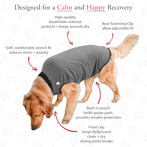 BellyGuard Dog Surgery Recovery Suit, Dog Onesie for Post-Op Care, Recovery Apparel for Female and Male, Surgical Body Cov...