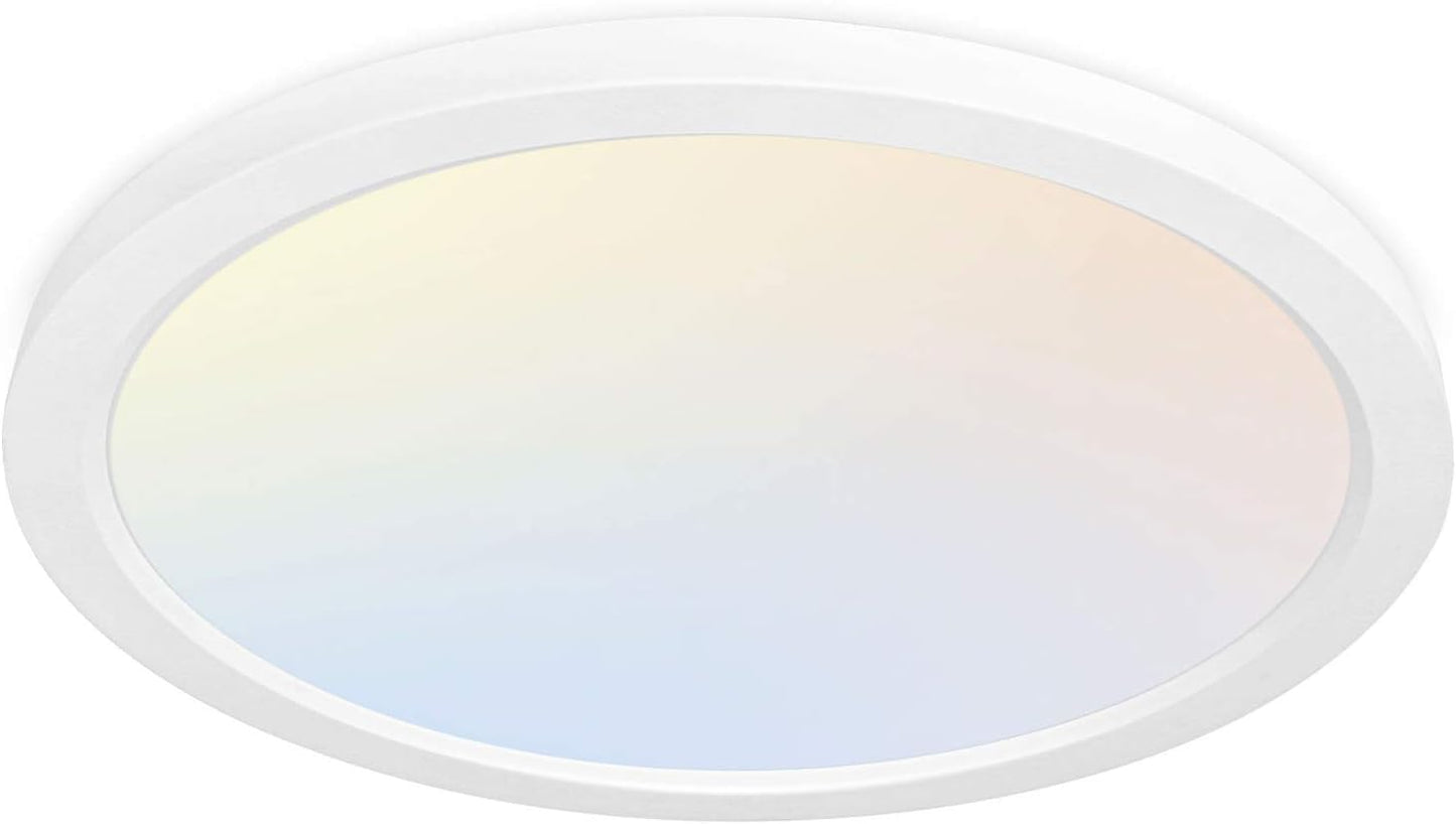 hykolity LED Round Flat Panel Light 12 Inch 24W Selectable CCT 3000K/4000K/5000K White R13-24WCCT-1