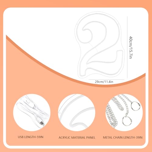 RumonZS Number 2 Light Up LED Neon Sign Backdrop 15.7" Birthday Party Decor Warm White Number One Light Up Sign USB Powere...