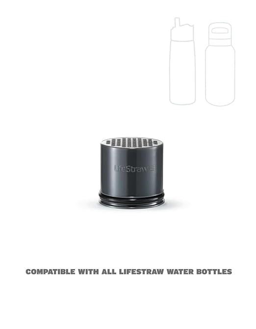LifeStraw Go 2-Stage Water Filter Bottle Replacement Filters 1-Year Pack (6 Carbons), For Hiking, Camping, Travel, and more