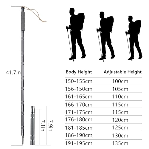 Hiking Pole Detachable Lightweight for Hiking Stick Walking Pole for Man Women