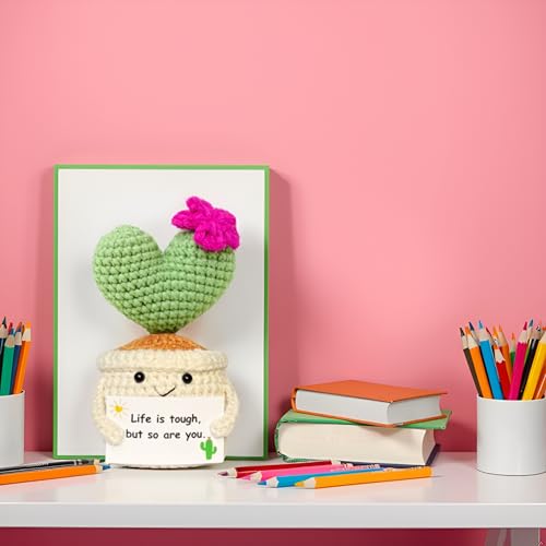 BRIFUFOUS Get Well Gifts for Women, Handmade Crochet Cactus – Plush Plant Gift with Encouragement Card for Desk Decor, Hom...