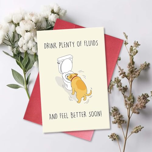 Humorous Get Well Soon Card from Dog, Funny Encouragement Card for Family Friend, Humor Speedy Surgery Recovery Gift for D...