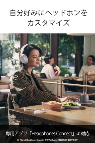 Sony WH-CH720NL Noise Canceling Wireless Bluetooth Headphones - Built-in Microphone - up to 35 Hours Battery Life and Quick Charge - Navy Blue