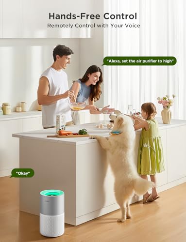 GoveeLife Air Purifiers for Home, Smart Air Purifier for Large Rooms with App & Alexa Control, Covers up to 1162ft², Air Q...