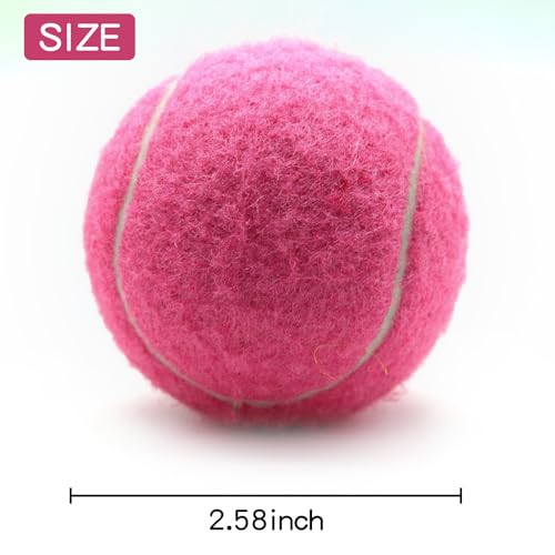 ZHUOKECE Tennis Balls, 18 Pack Training Tennis Balls Practice Balls with Mesh Bag for Easy Transport, Pet Dog Playing Ball...