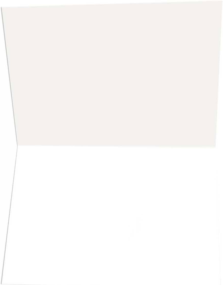 Stonehouse Collection | Simple Elegant Golf Theme Thank You Note Card | 10 Boxed Golf Cards & Envelopes (Standard)