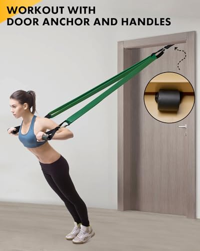 Equipro Resistance Bands, Exercise Bands, Resistance Bands for Working Out with Handles and Door Anchor, Workout Bands for...