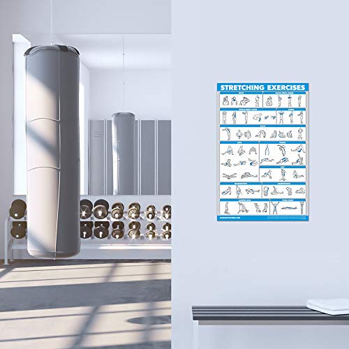 2 Pack - Yoga Block Poses + Stretching Exercise Poster Set - Yoga Positions with Blocks Chart - Set of Two Fitness Charts