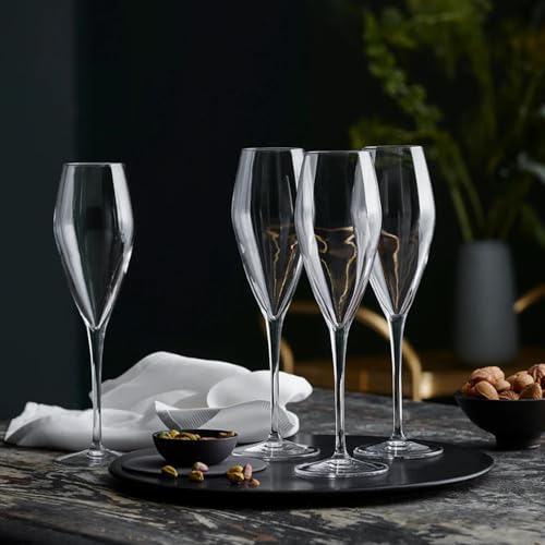 Luigi Bormioli Atelier 9.25 oz Champagne Glasses, 6 Count (Pack of 1), Clear