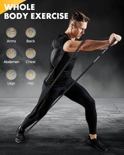 Equipro Resistance Bands, Exercise Bands, Resistance Bands for Working Out with Handles and Door Anchor, Workout Bands for...