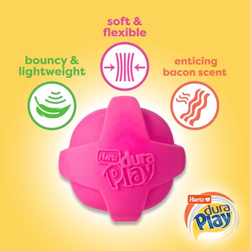 Hartz DuraPlay Ball Squeaky Latex Dog Toy, Neon Green, Neon Pink & Neon Orange, Large 3 Count Pack