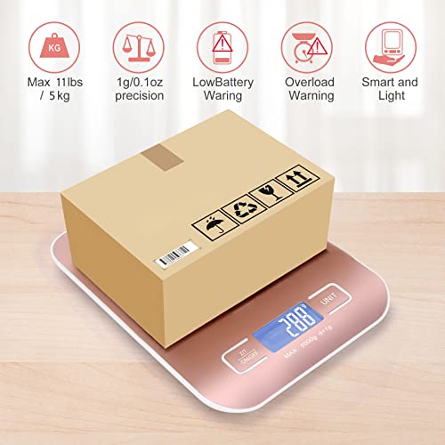 Selegere Digital Shipping Scale,Stainless Steel Panel, Accurate Portable Postal Scale for Packages, Small Business,Kitche...