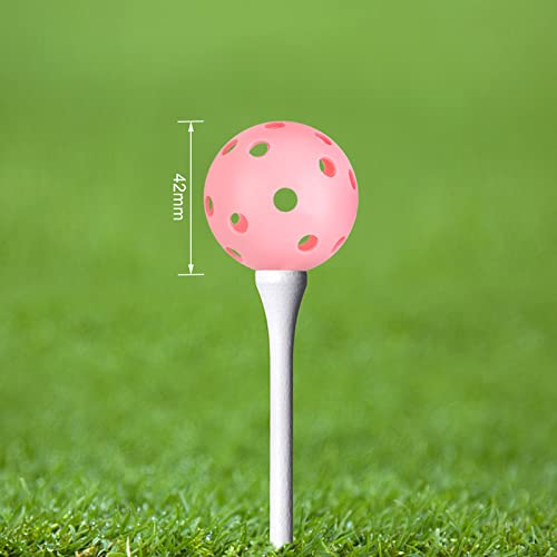 Joyberg Practice Golf Balls 24 Pack, 42mm Plastic Golf Balls, Practice Golf Balls for Backyard, Training Golf Balls for Sw...