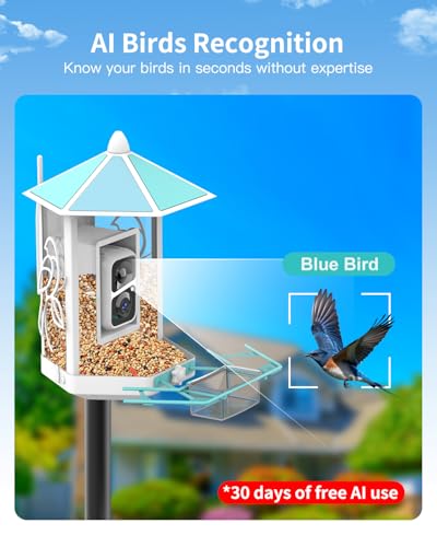 Onlyfly Metal Bird Feeder with Camera and 74.5 Inch Pole - Smart Camera Bird Feeder Solar Powered with 2k Live Stream for ...