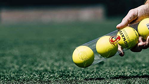Signature Lacrosse Ball Set - Packs of 2, 4, 8, 12, and 120 - No Chemical Smell Massage Balls, Myofascial Release Tools, B...