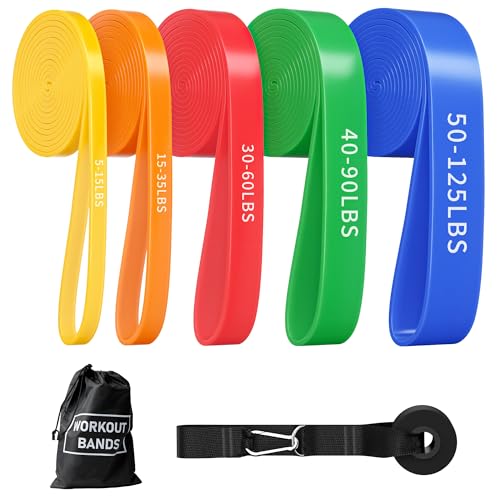 Resistance Bands, Pull Up Bands, Pull Up Assistance Bands Set for Men & Women, Exercise Workout Bands for Working Out, Bod...