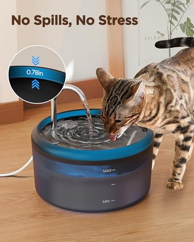 Cat Water Fountain for Cats Indoor: 80oz/2.4L Cat Fountains for Drinking - Quiet Pet Watering Bowls for Cats Inside - Blac...