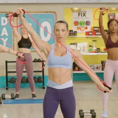 Resistance Bands Workout Set, Fitness Bands for Strength Exercise, Gym or Home Workouts, Kit Includes 2 Soft Handles and 2...