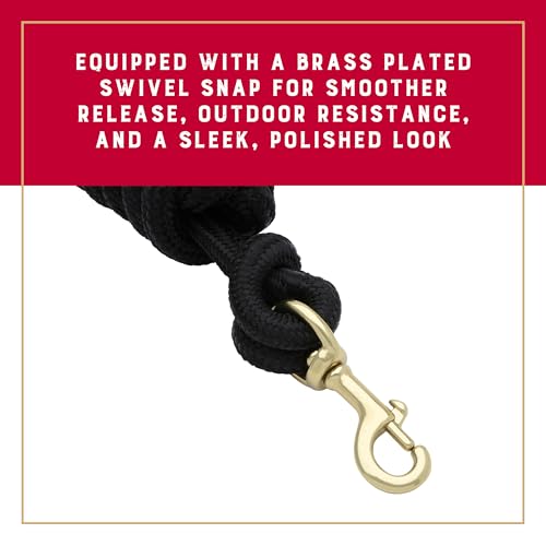 Weaver Equine Performance Lead Rope, Black, 10' Horse Cowboy Rope with Brass Plated Snap, Soft Comfort Grip, Barn Horse Ta...