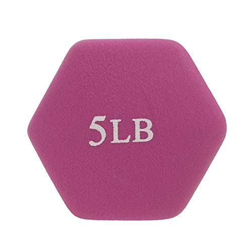 Sunny Health & Fitness Neoprene Coated Hex Shaped Dumbbell Non-Slip Fitness Weights for Home Gym Exercise, Full Body Worko...