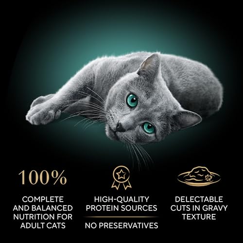 Sheba Perfect Portions Wet Cat Food Cuts in Gravy, Cat Food Wet Recipe, Roasted Chicken Entree and Turkey Entree, Variety ...
