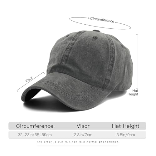Retro Walk for Peace Monks with Aloka Dog Minimalist Zen Baseball Caps for Adult
