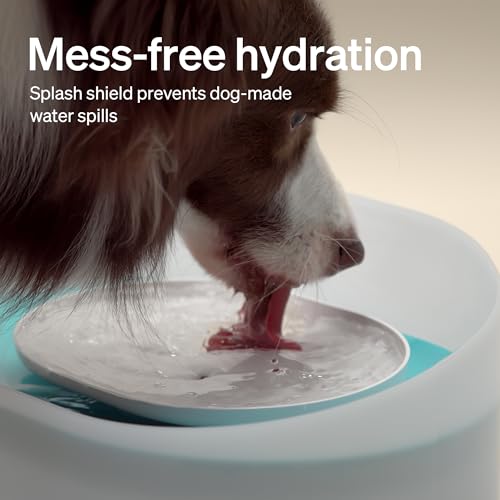 PETLIBRO Dog Water Fountain, 2.1Gal/8L Capsule Dog Fountain for Medium to Large Dogs, Anti-Splash Dog Water Bowl Dispense...