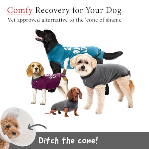 BellyGuard Dog Surgery Recovery Suit, Dog Onesie for Post-Op Care, Recovery Apparel for Female and Male, Surgical Body Cov...