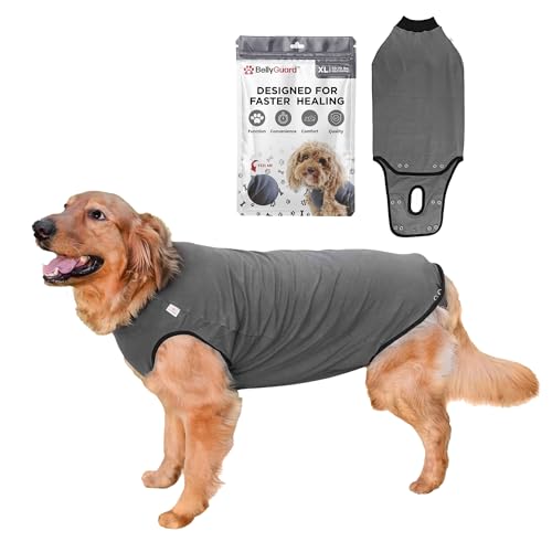 BellyGuard Dog Surgery Recovery Suit, Dog Onesie for Post-Op Care, Recovery Apparel for Female and Male, Surgical Body Cov...