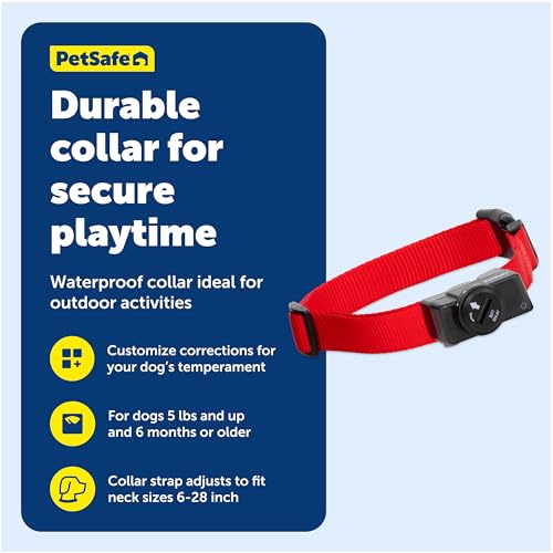 PetSafe Wireless Pet Containment System Receiver Collar - Battery-Operated & Waterproof - Adjustable Receiver Collar with ...