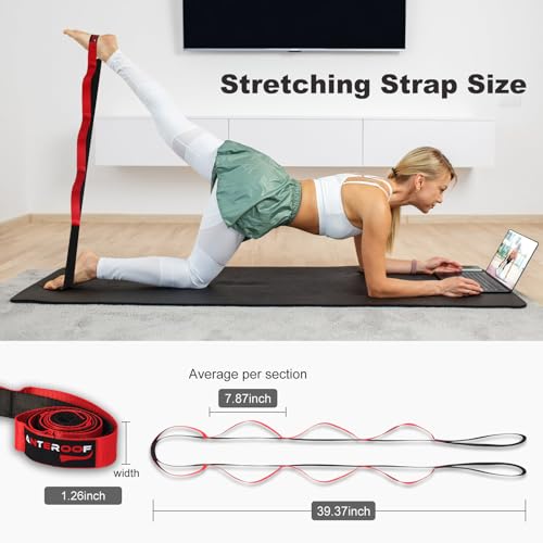 Durable Non-Elastic Stretch Strap for Physical Therapy and Yoga, 10 Loops Stretching Band for Pilates, Flexibility, Exerci...