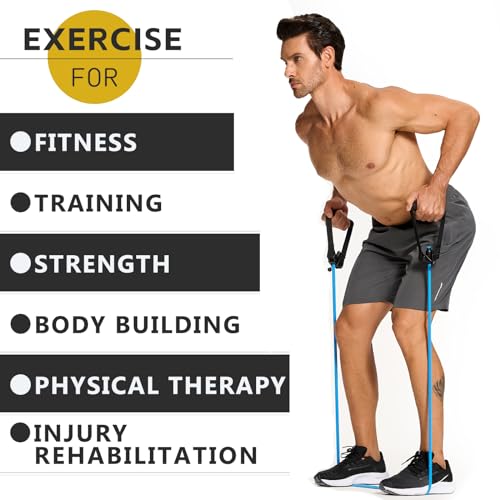 Professional Resistance Bands. Latex-Free, Work Out Bands, Stretch Bands for Working Out Women or Men, Exercise Bands Set ...