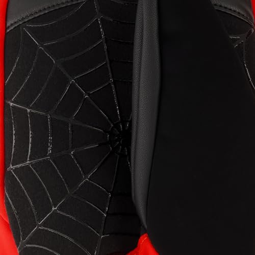 Spyder Mens Insulated Winter Ski Mitten